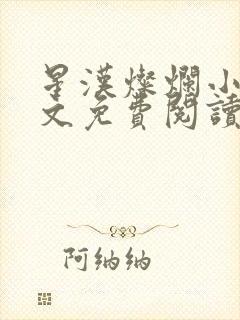 星汉灿烂小说全文免费阅读