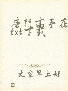 唐门高手在异世txt下载