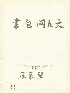 书包网h文