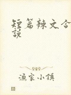 短篇辣文合集小说