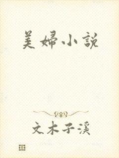 美妇小说
