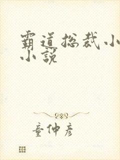 霸道总裁小娇妻小说