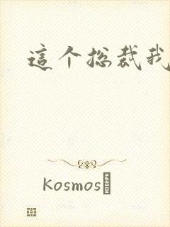 这个总裁我要了