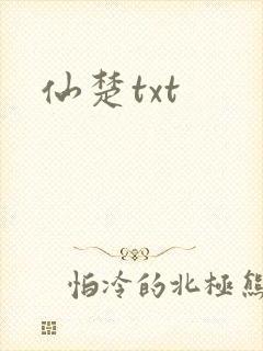 仙楚txt