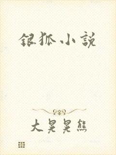 银狐小说