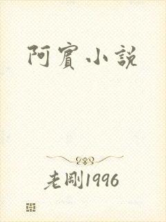 阿宾小说