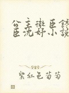 公主微臣馋了微臣沈妤小说