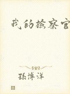 我的检察官先生