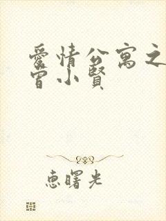 爱情公寓之极品曾小贤