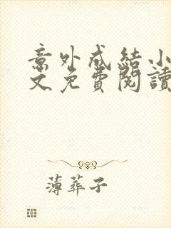 意外成结小说全文免费阅读笔趣阁下载无弹窗