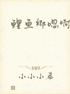 鲤鱼乡嗯啊