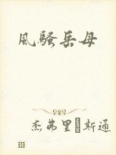 风骚岳母