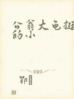 公翁大龟挺进我的小