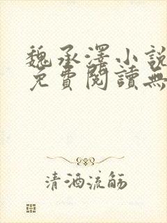 魏承泽小说全文免费阅读无弹窗笔趣