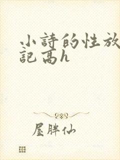 小诗的性放荡日记高h