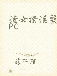 渣女撩汉系统NPC