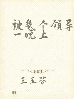 被几个领导玩弄一晚上