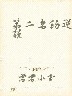 第二名的逆袭小说封面