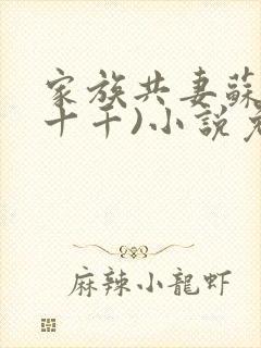 家族共妻苏苏(十千)小说免费