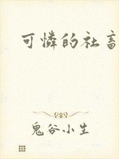 可怜的社畜分手