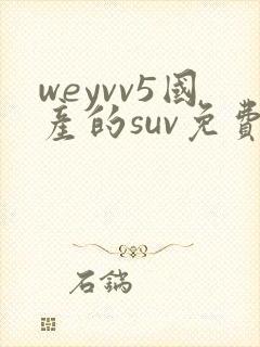 weyvv5国产的suv免费