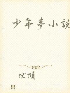 少年梦小说