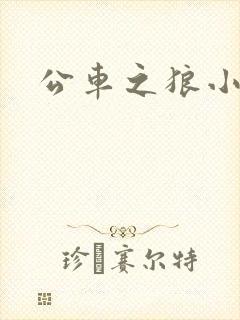 公车之狼小说