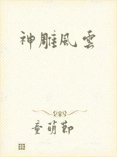 神雕风云