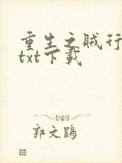 重生之贼行天下txt下载
