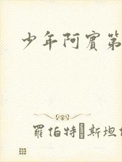 少年阿宾第二部