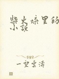 柴火垛里的疯狂小说