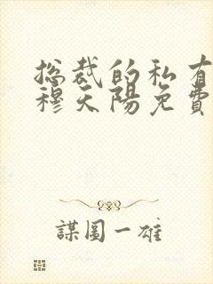 总裁的私有宝贝穆天阳免费