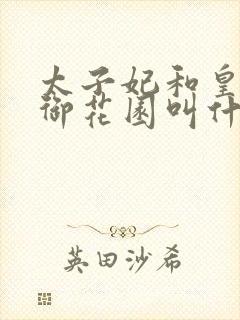 太子妃和皇帝在御花园叫什么小说