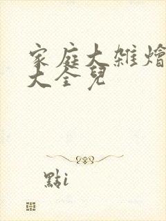 家庭大杂烩小说大全儿