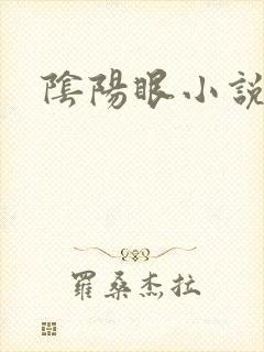 阴阳眼小说