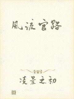 风流官路