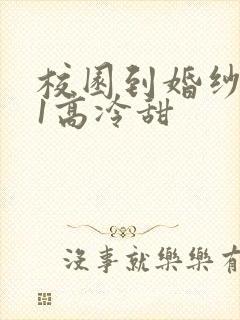 校园到婚纱1V1高冷甜