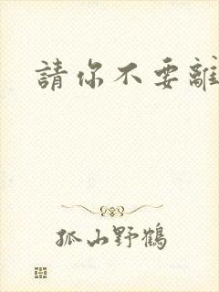 请你不要离开我