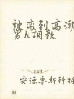 被脔到高潮的直男h调教