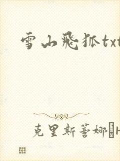 雪山飞狐txt