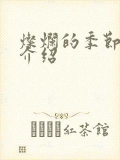 灿烂的季节剧情介绍