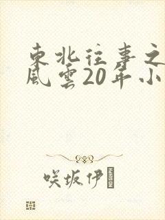 东北往事之黑道风云20年小说