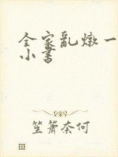 《全家乱炖一锅烩小书》小说封面