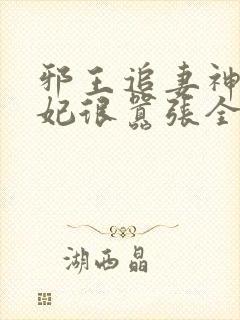 邪王追妻神医狂妃很嚣张全文免费