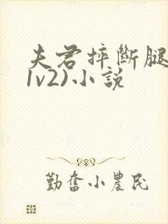 夫君摔断腿后(1v2)小说