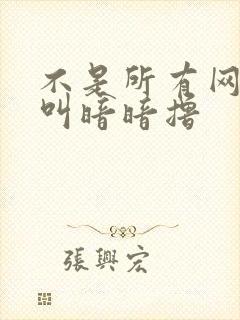 不是所有网站都叫暗暗撸