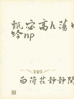 甄宓高h荡肉呻吟np