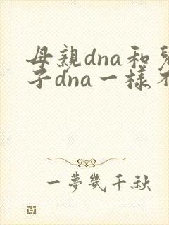 母亲dna和儿子dna一样不