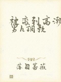 被脔到高潮的直男h调教