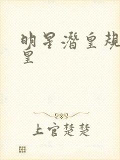 明星潜皇规则之皇